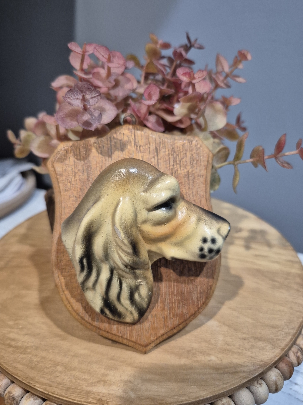 Vintage 1950s Chalkware Dog Head Wall Decor Wood Shield Cocker Spaniel